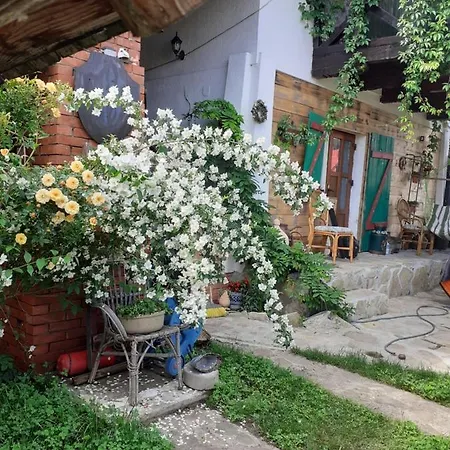 Casuta Verde *